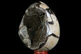 Septarian Dragon Egg Geode - Black Crystals #71993-1